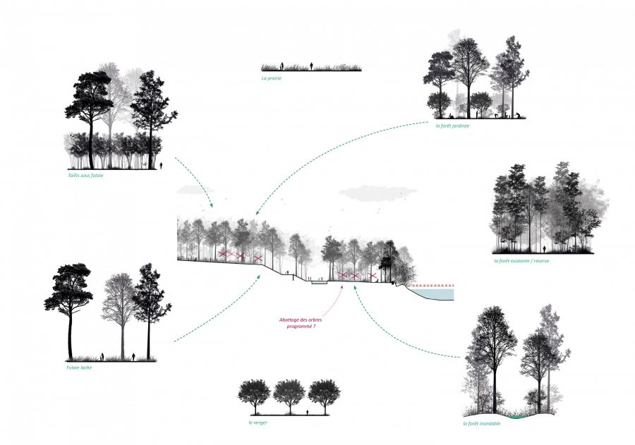 Bois de l’Arbalète