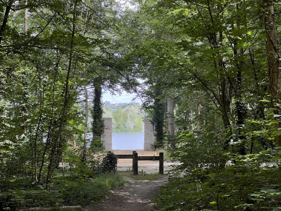 Bois de l’Arbalète