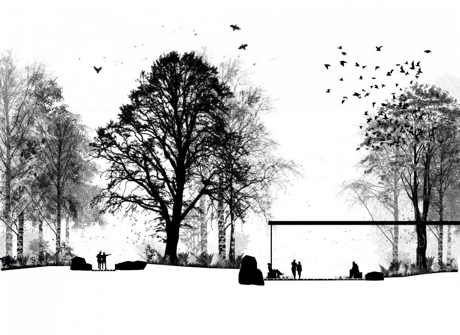Agora