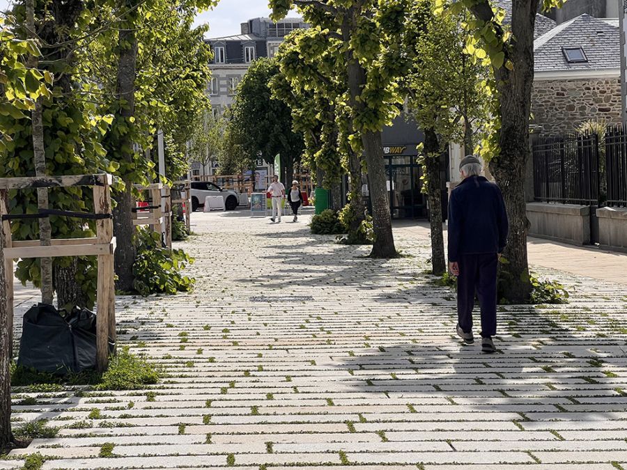 Cours Jonville
