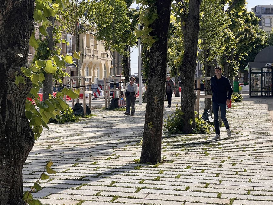 Cours Jonville