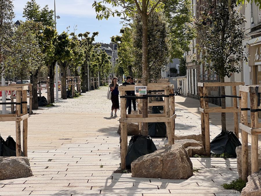 Cours Jonville