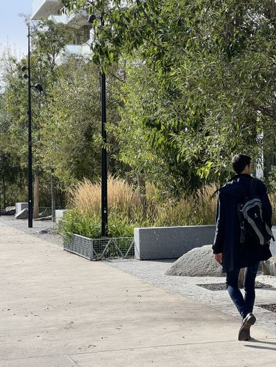 Cours Napoléon Bonaparte