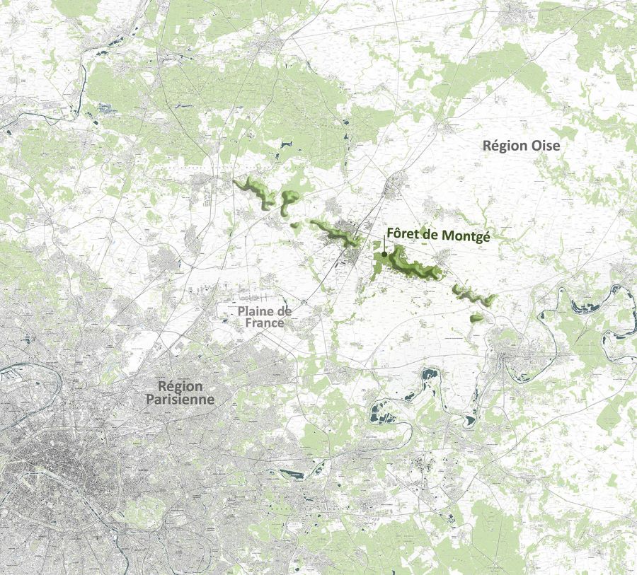 Forêt de Montgé