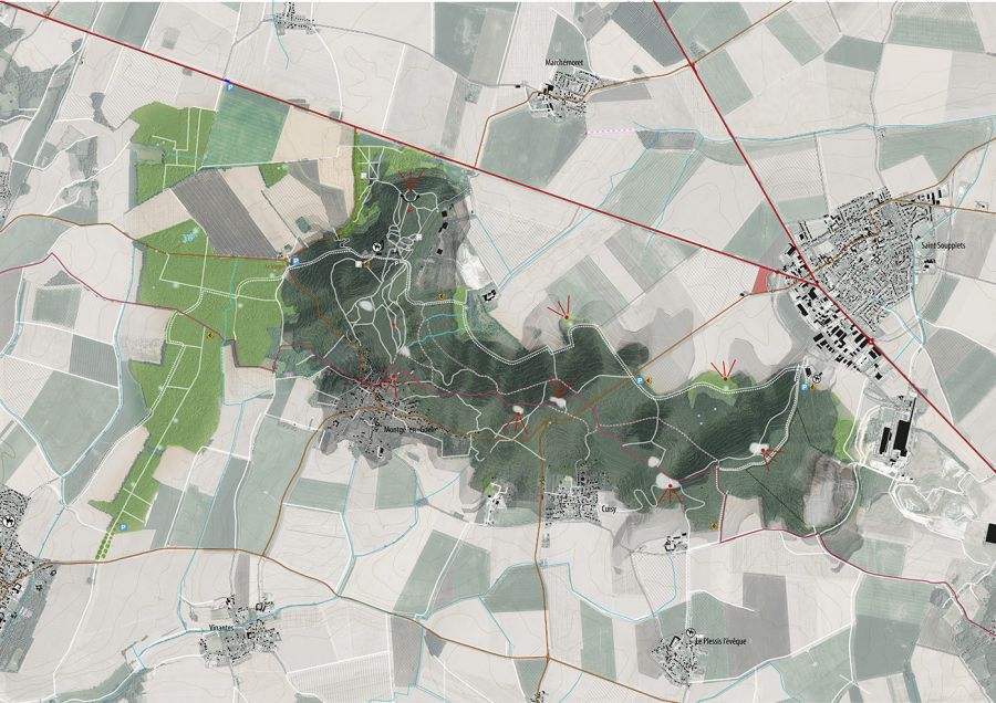 Forêt de Montgé