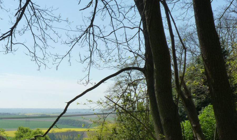 Forêt de Montgé