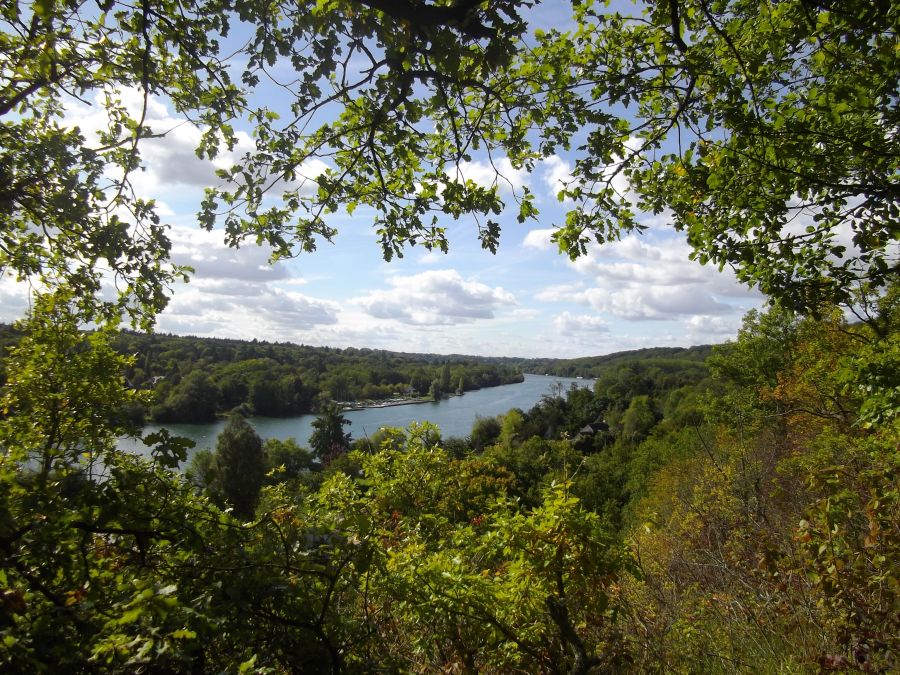 Forêt de Rougeau