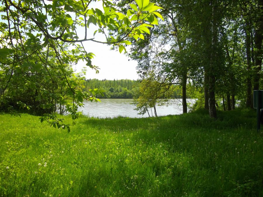 Forêt de Rougeau