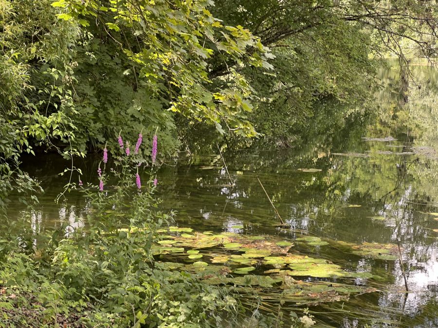 Parc agricole