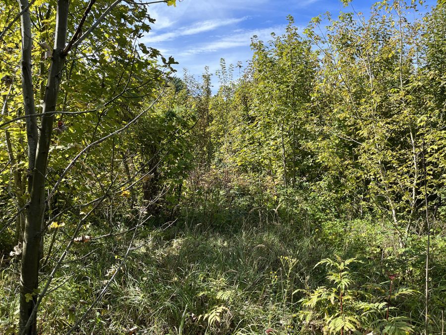 Parc agricole