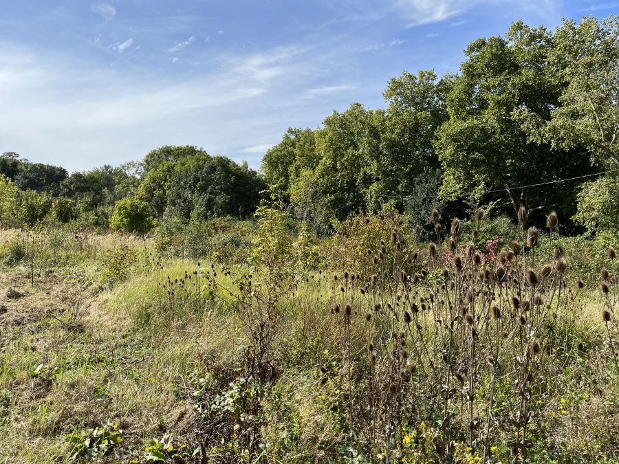 Agricultural park