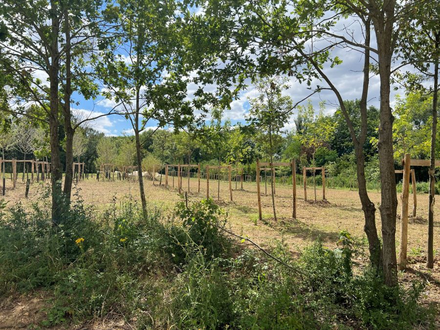Parc agricole