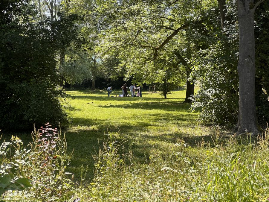 Parc de la Ferme des Saules