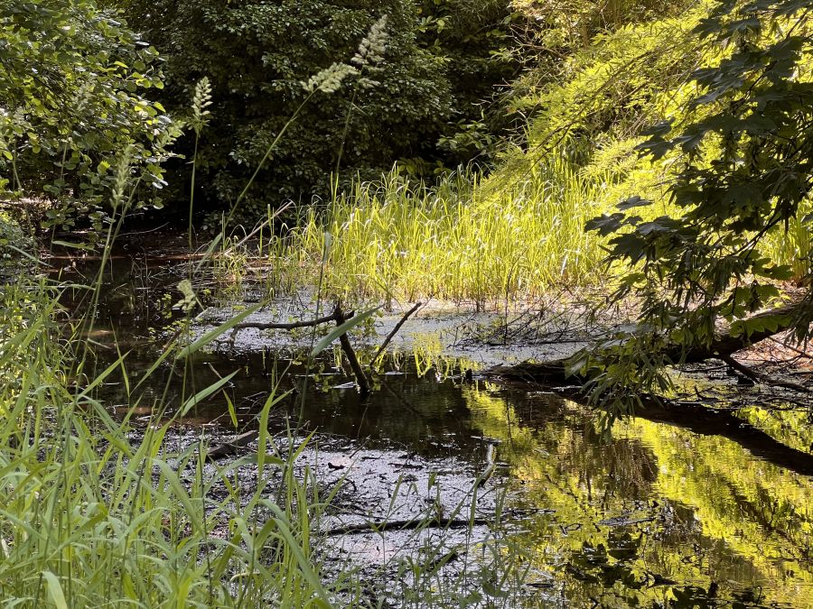 Parc de la Ferme des Saules