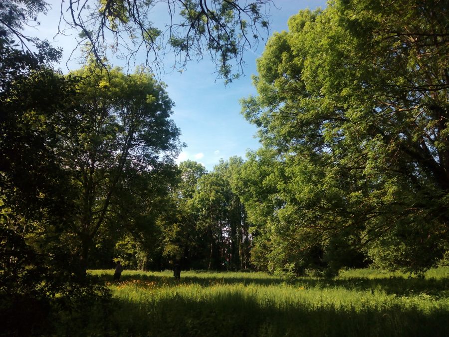 Parc de la Ferme des Saules