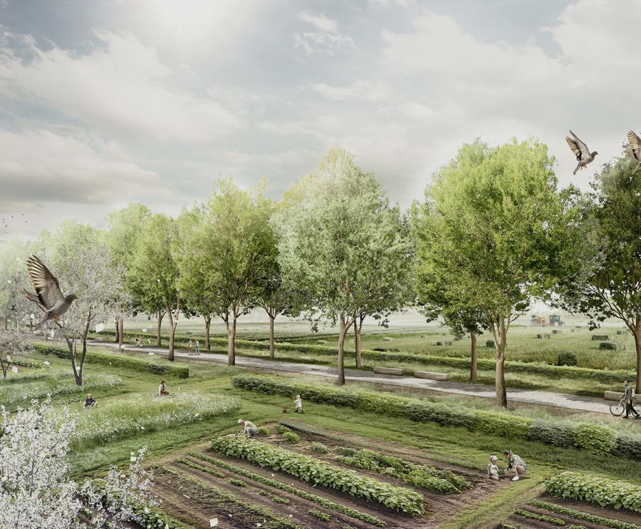 Rhônelle Park