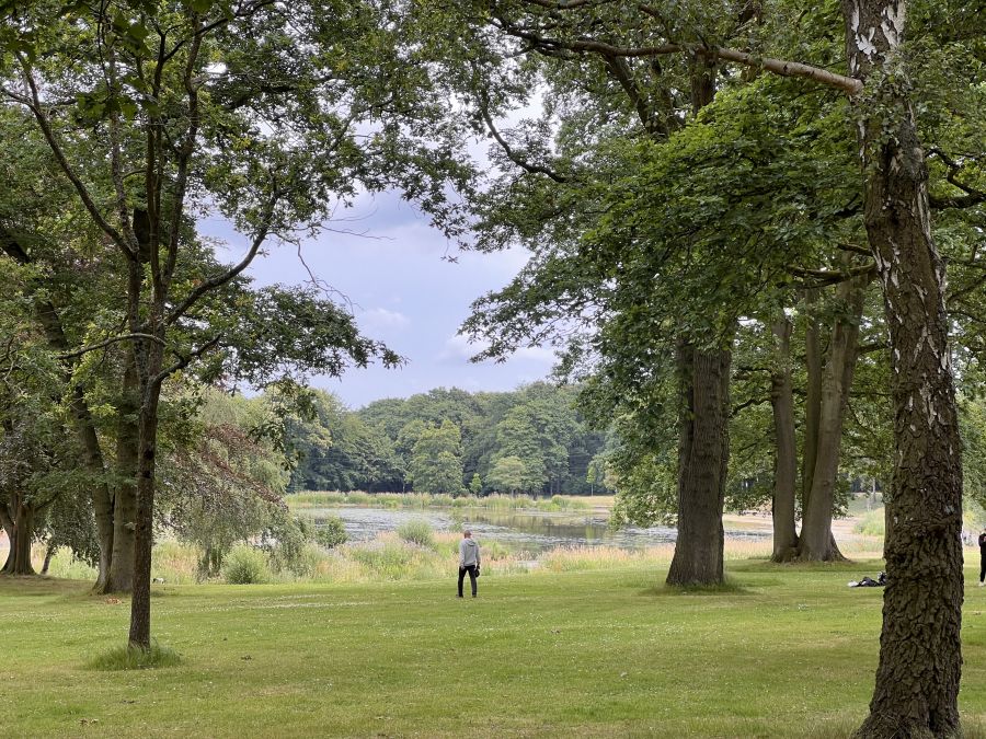 Parc forestier de Montgeon