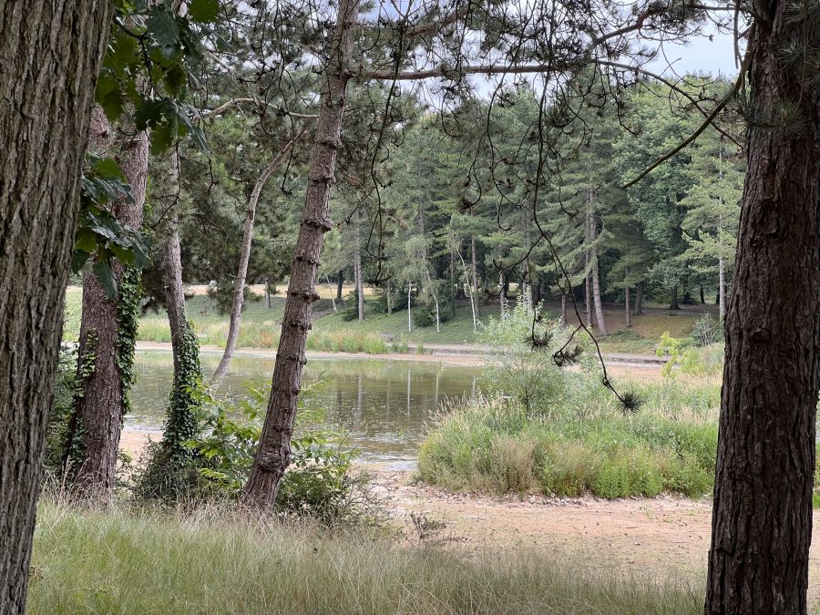 Parc forestier de Montgeon