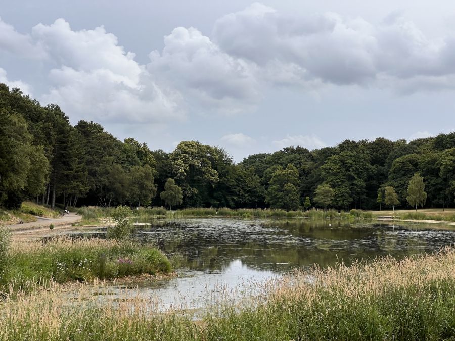 Parc forestier de Montgeon
