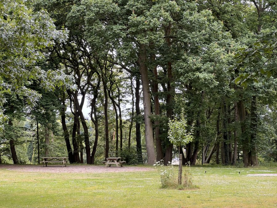Parc forestier de Montgeon