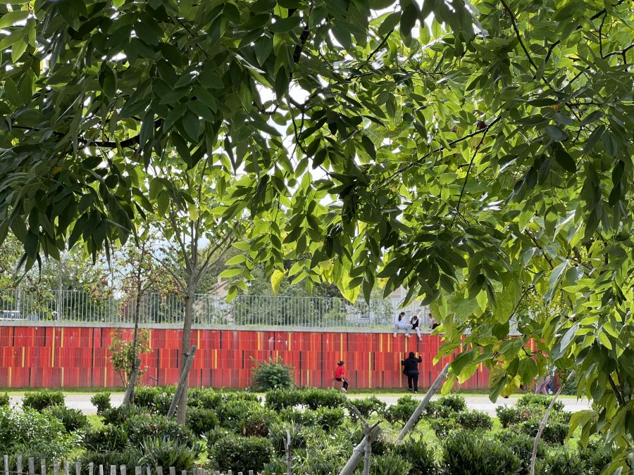Parc Montconseil