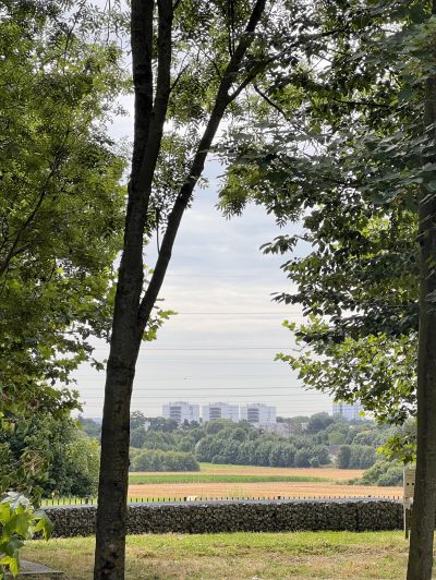 Parc Puits la Marlière