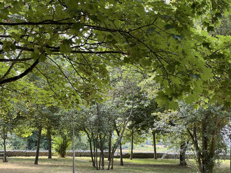 Puits la Marlière Park