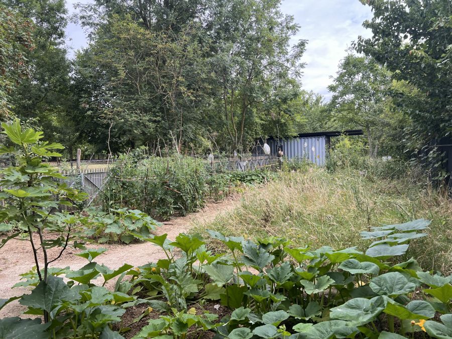 Parc Puits la Marlière