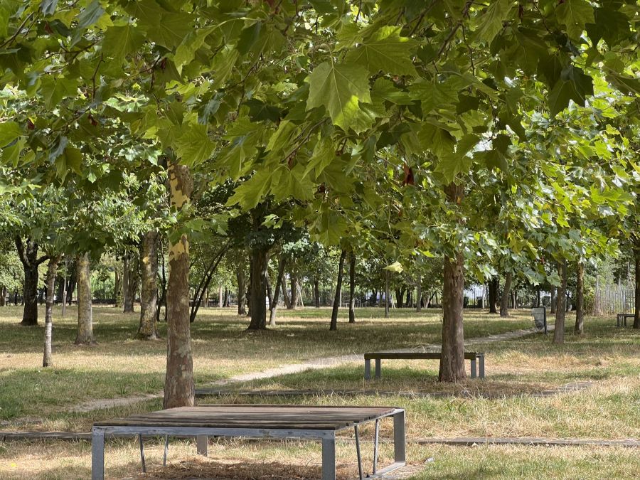 Puits la Marlière Park