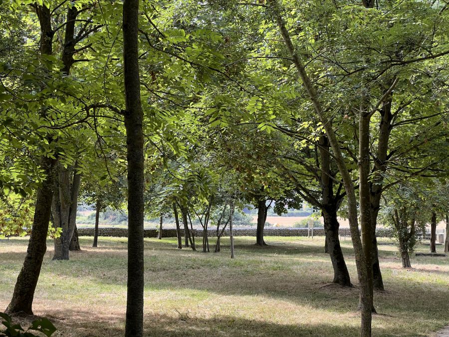 Puits la Marlière Park