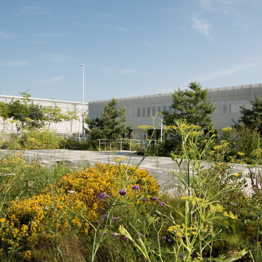 Exhibition Center Forecourt