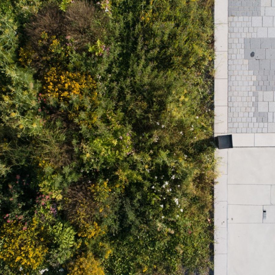 Exhibition Center Forecourt