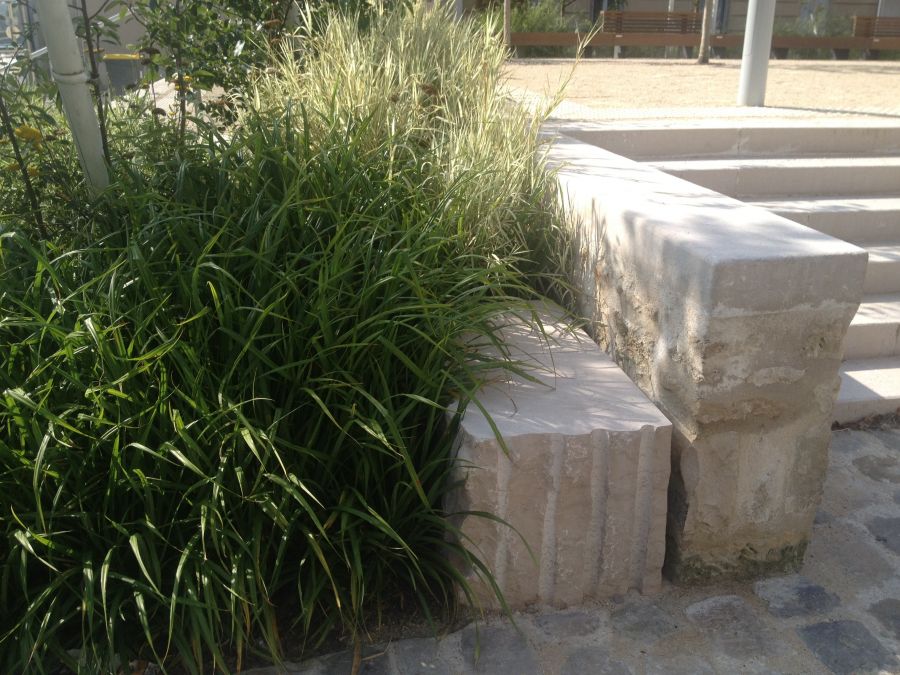 Place Chollet