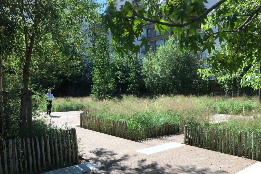 Place jardinée La Prairie
