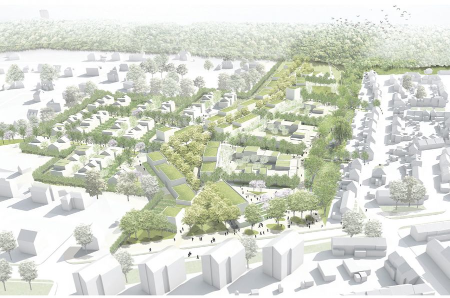 Dame Blanche District