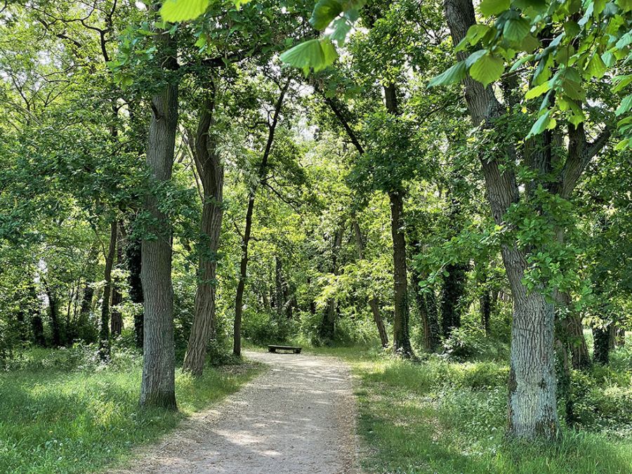Quartier des Hautes Roches
