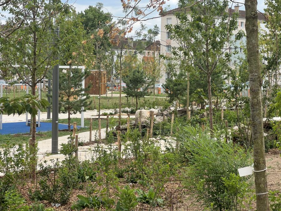 Fabien Neighborhood