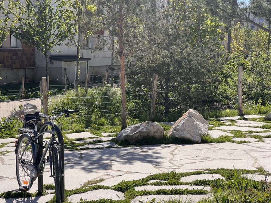 Fabien Neighborhood