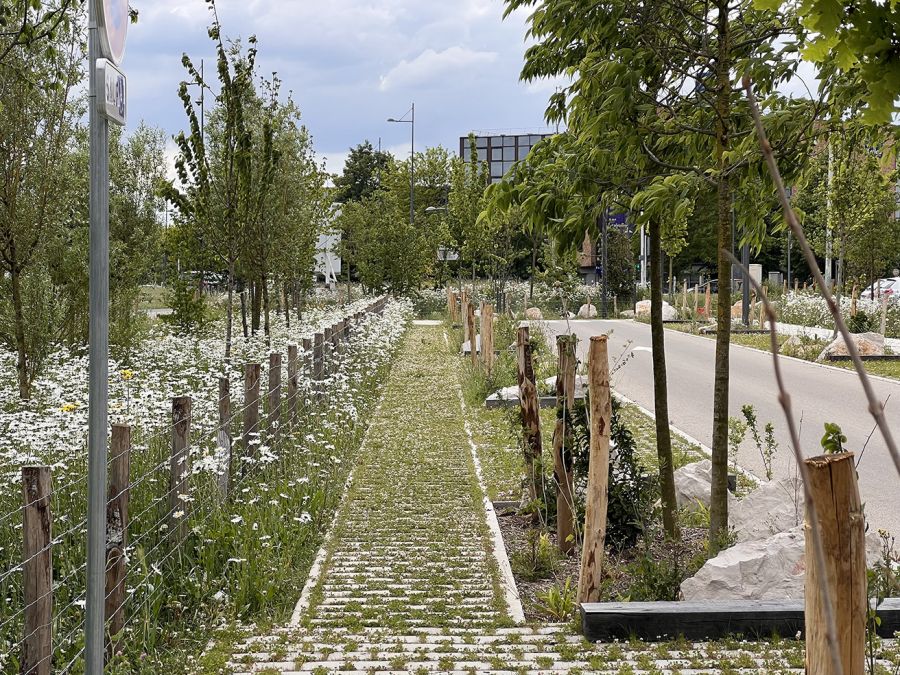 Quartier Fabien
